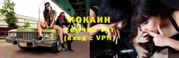 PSILOCYBIN Кукмор