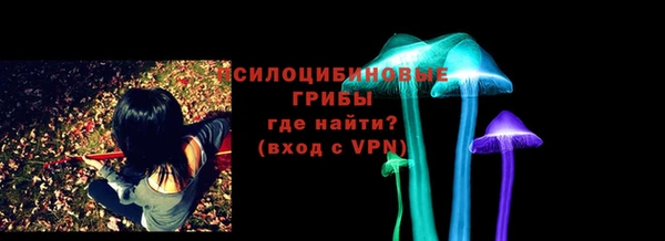 PSILOCYBIN Кукмор