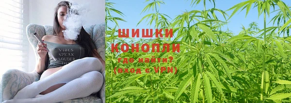 PSILOCYBIN Кукмор