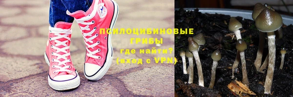PSILOCYBIN Кукмор
