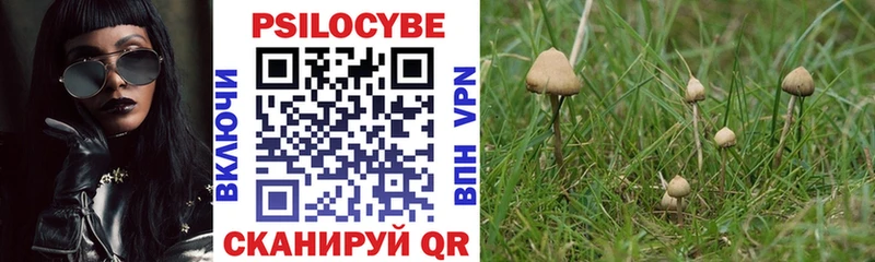блэк спрут зеркало  Рыбинск  Псилоцибиновые грибы мицелий  купить закладку 