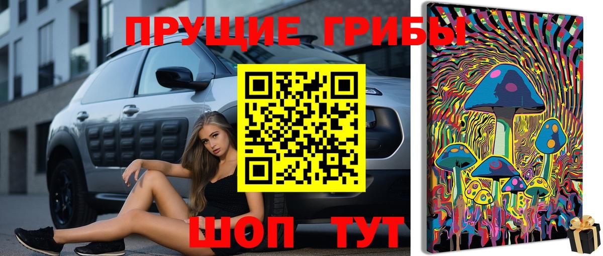 Галлюциногенные грибы мицелий Рыбинск