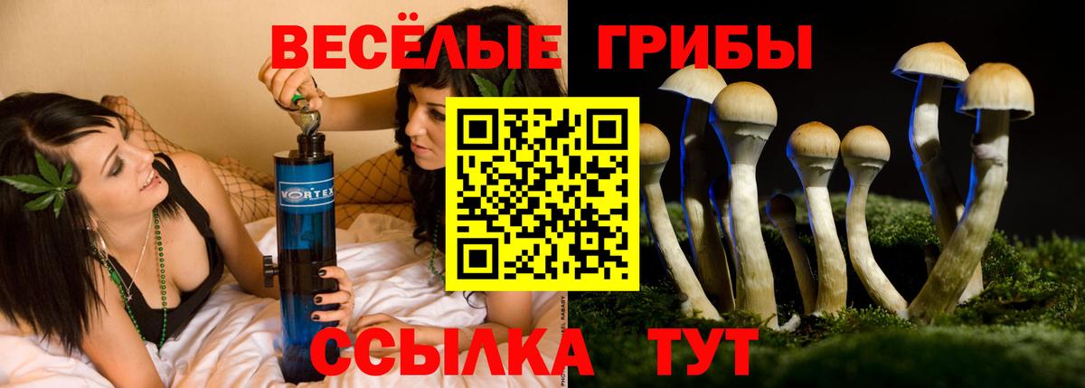 Галлюциногенные грибы мухоморы  Рыбинск 